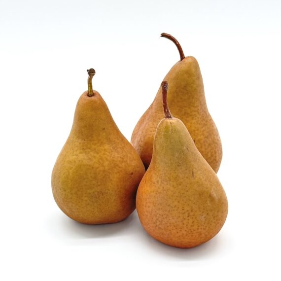 Bosc Pears