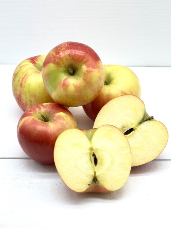 Honeycrisp Apple